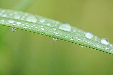 《守望先锋2》BETA封测6月28日开始 登陆PC和主机